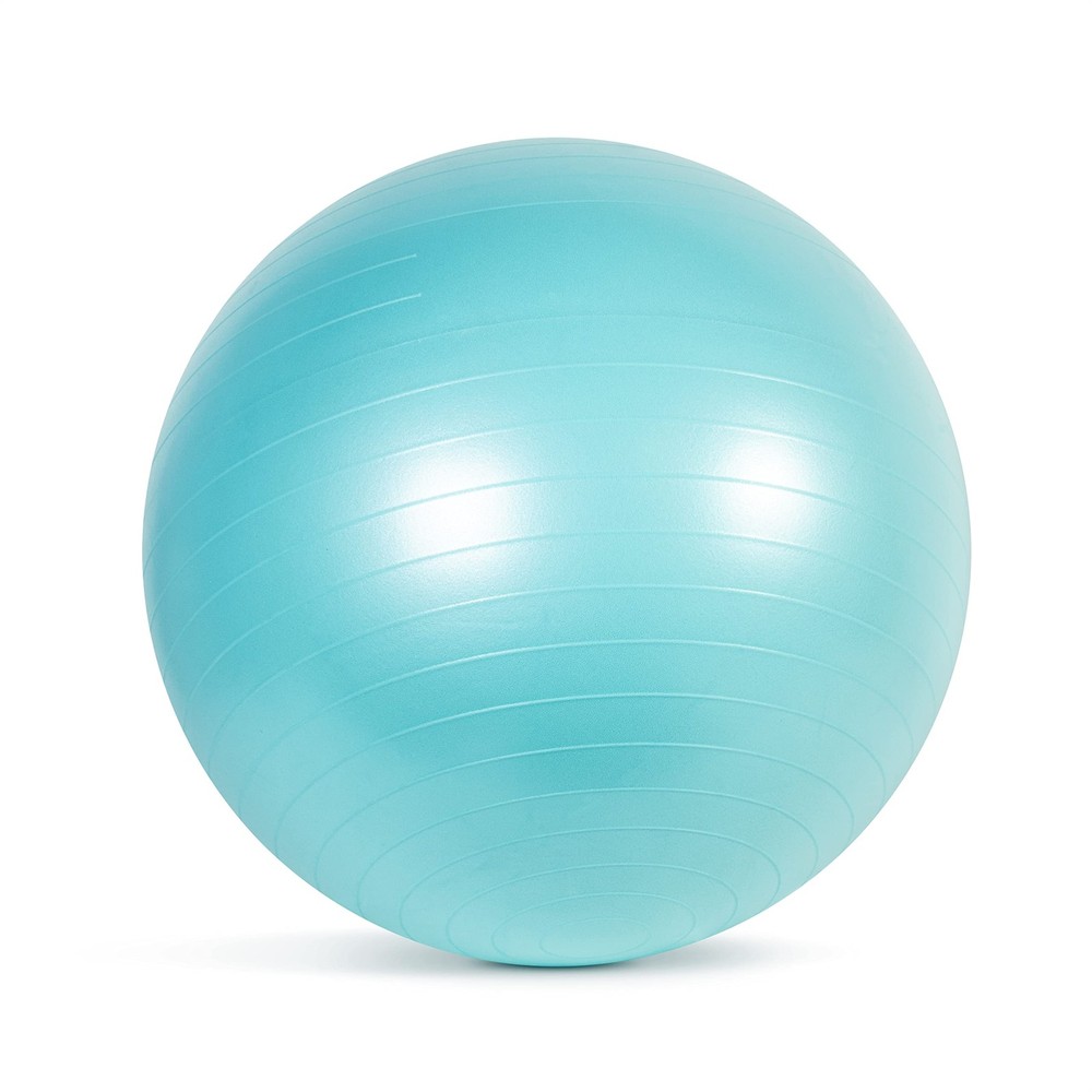 65cm Stability Exercise Ball for Core Strength and Balance Training