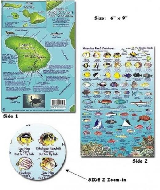 Franko Maps - Lanai Reef Creatures Fish ID