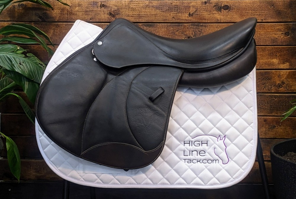 18.5" Voltaire Palm Beach 1AAR (2014) *Short/Extra Forward Flaps*Full Buffalo Le