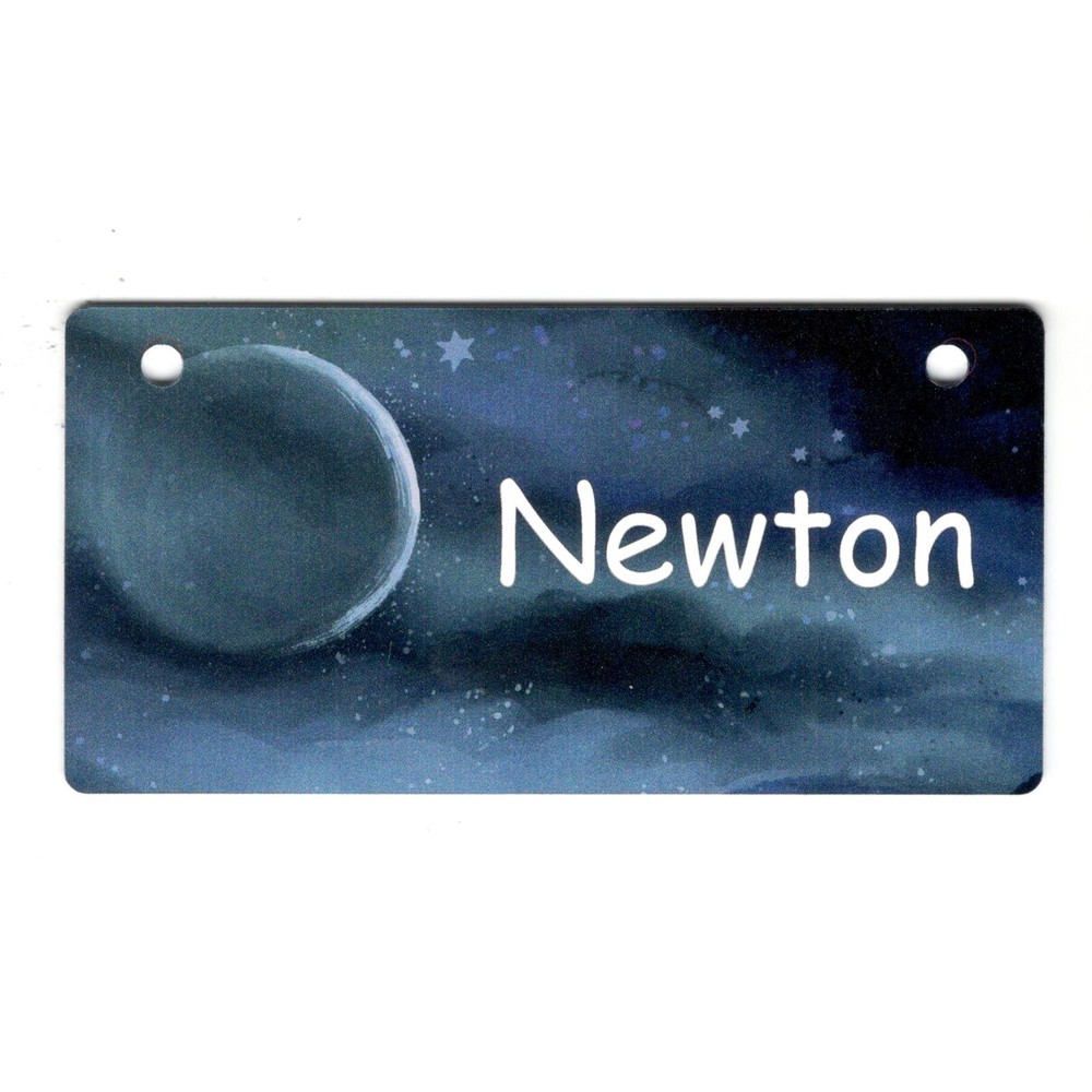 Blue Moon  Personalized 5" x 2.5" Dog Crate Tag