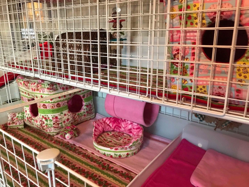 Custom Order: 9” FOAM CUBE HOUSE (Suitable for Rats/Chinchilla/Ferrets)