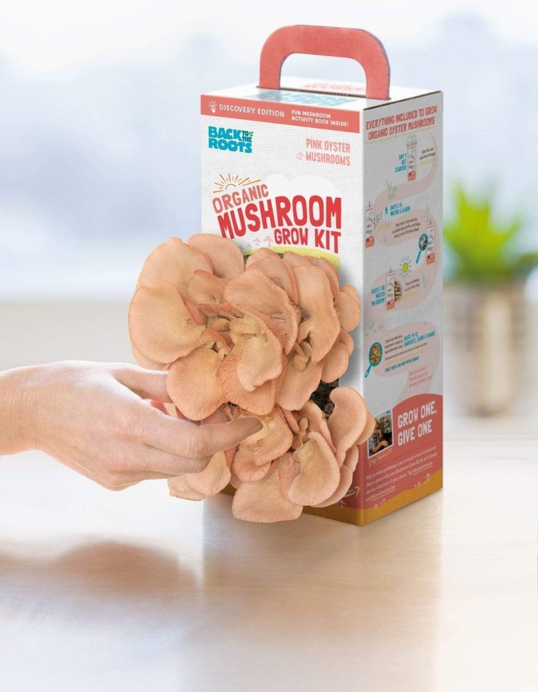 Organic Mushroom Grow Kit, Variety 2-Pack