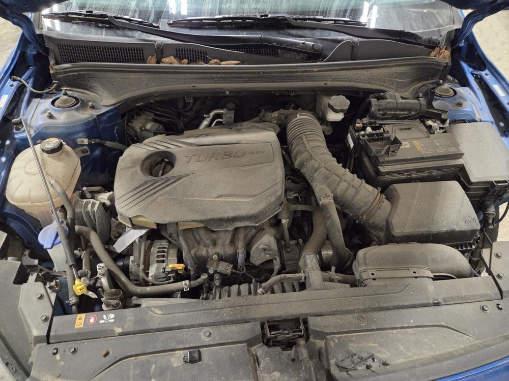 FORTE 2023 Jack 1552926