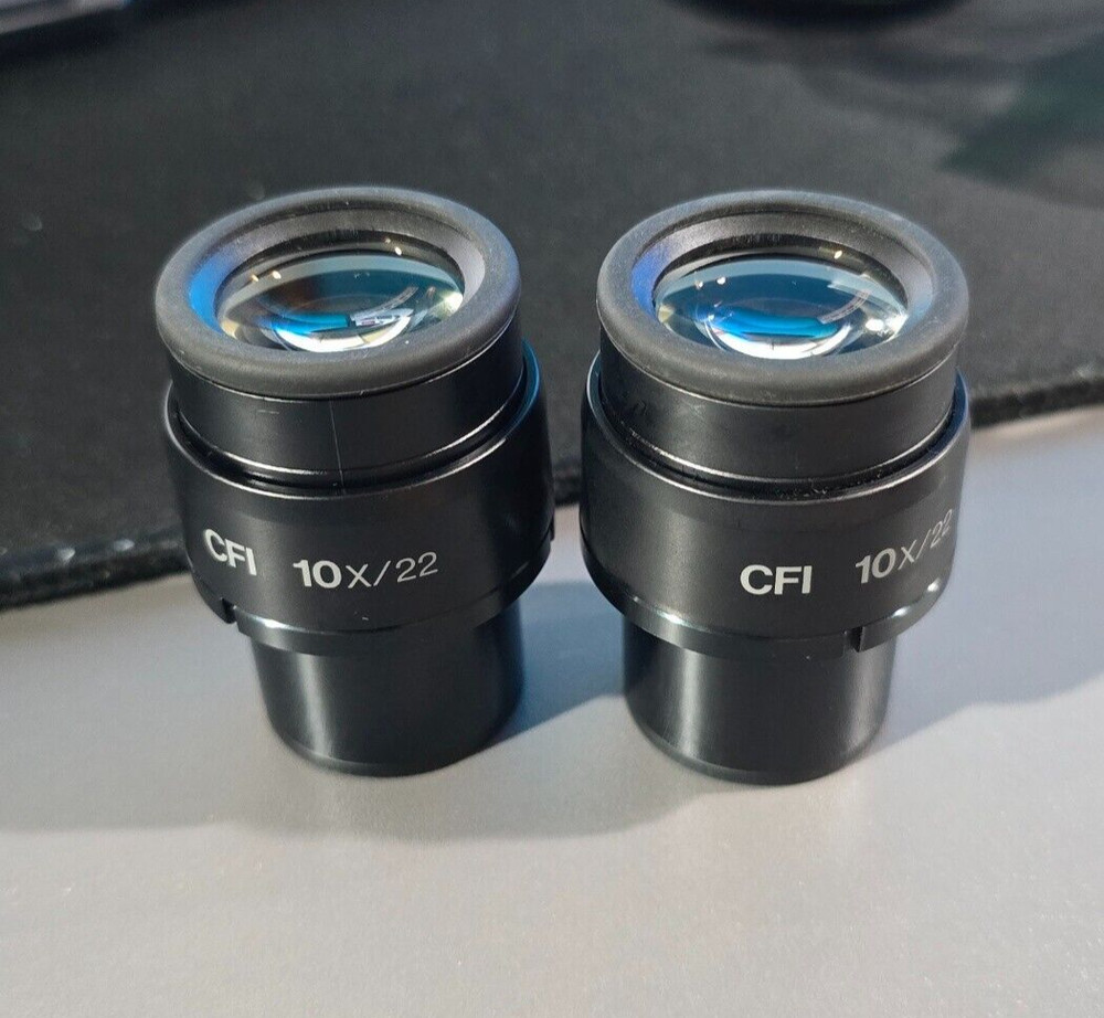 Pair of Nikon CFI 10x/22 Microscope Objective