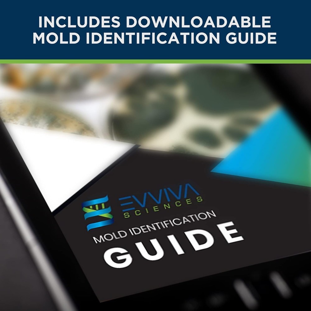 Indoor Mold Kit: 10 Easy Detection Tests + Comprehensive Information Guide