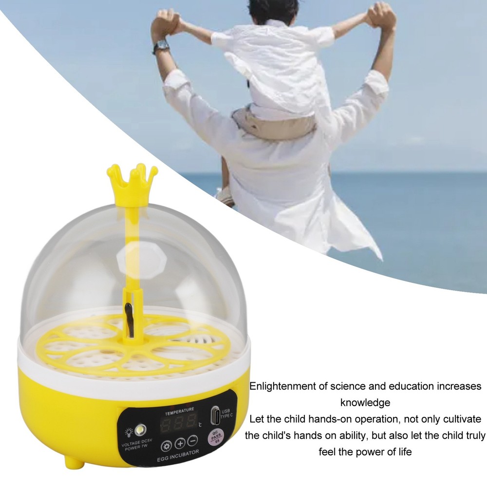 Automatic Temperature Control Mini Egg Incubator For Home Chicken Hatching