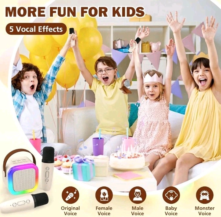 Wireless Mini Karaoke Machine 2 Microphones Bluetooth Speaker Lights