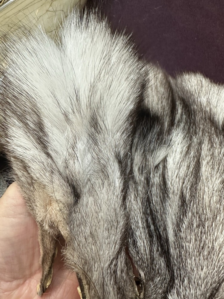 Silver Fox Fur Face, Ethically Sourced, Real Fur, Pagan, Witchcraft
