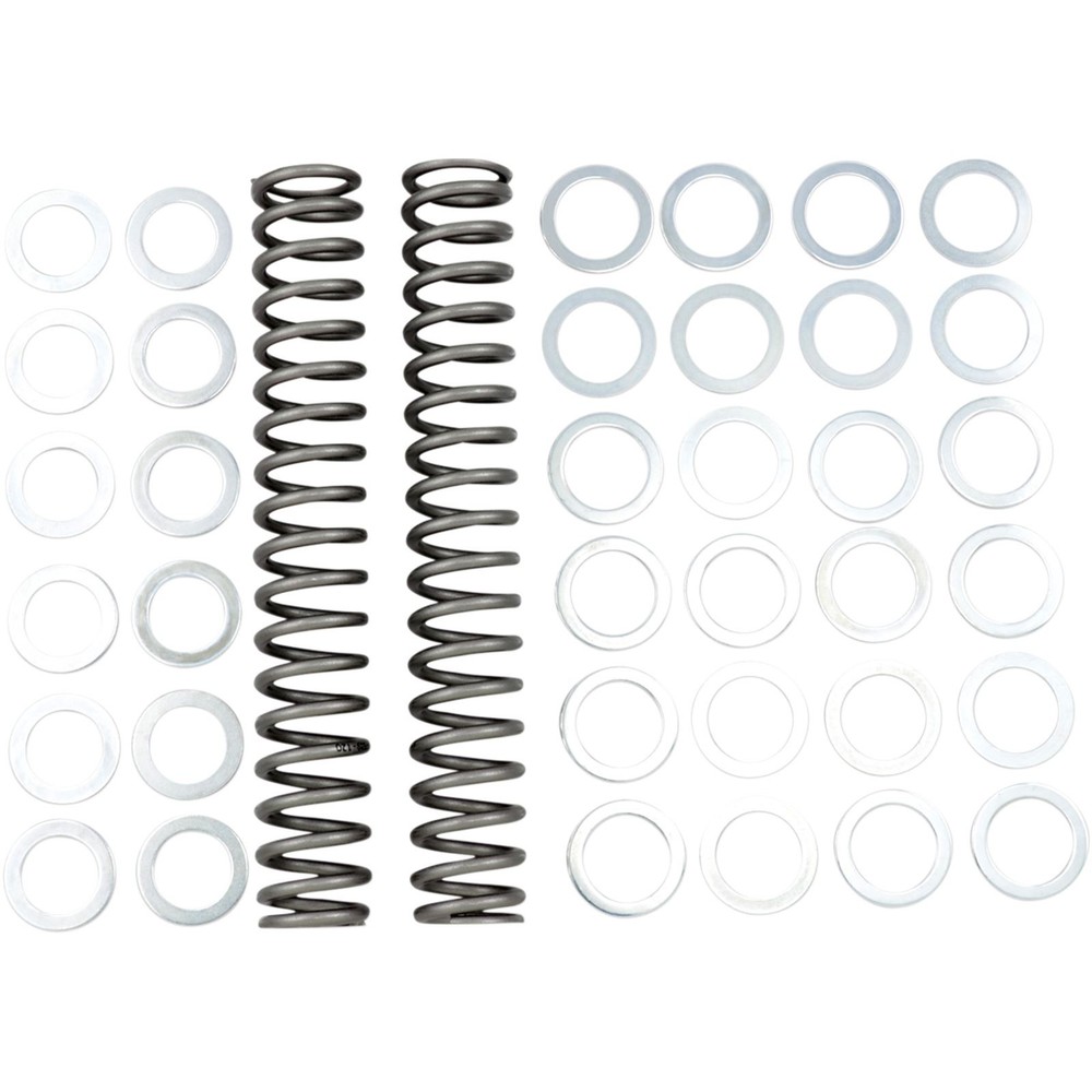 Race Tech Fork Spring 1.2kg FRSP S3825120
