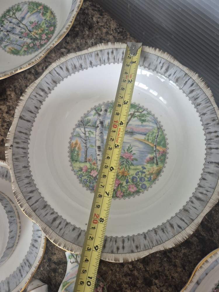 27 piece Dinner Set 4X Royal Albert Silver Birch premium Place Settings +serving