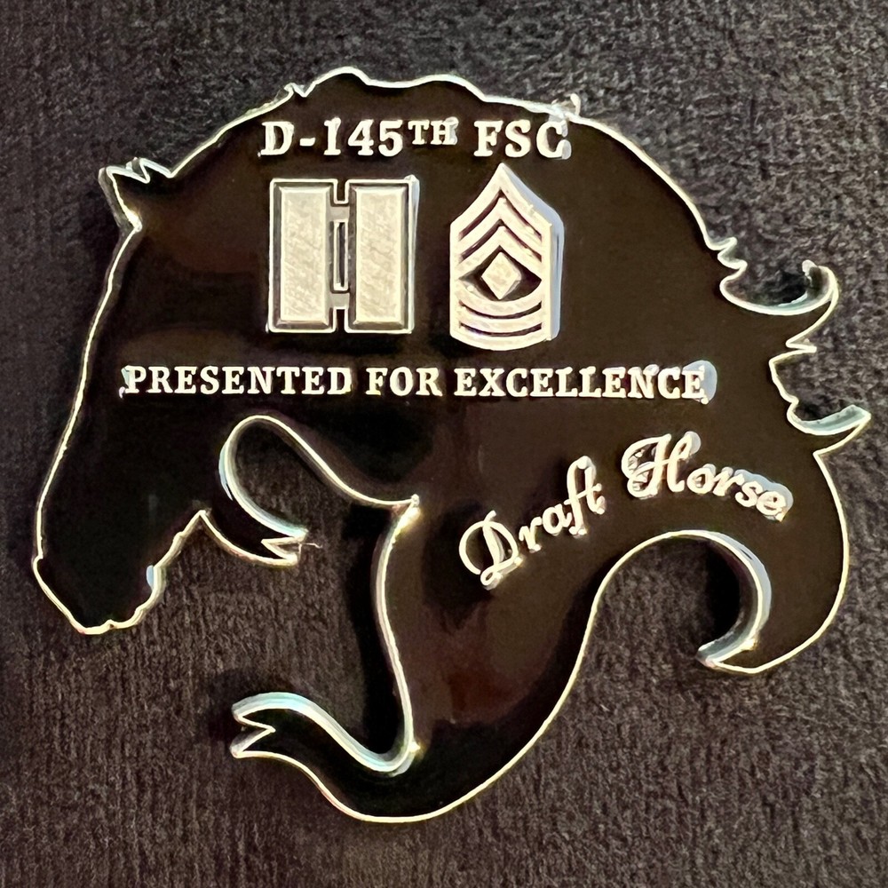 Company D 145th Forward Support Company Commander Challenge Coin