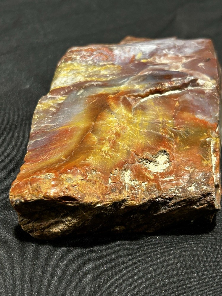 Arizona Rainbow Petrified Wood
