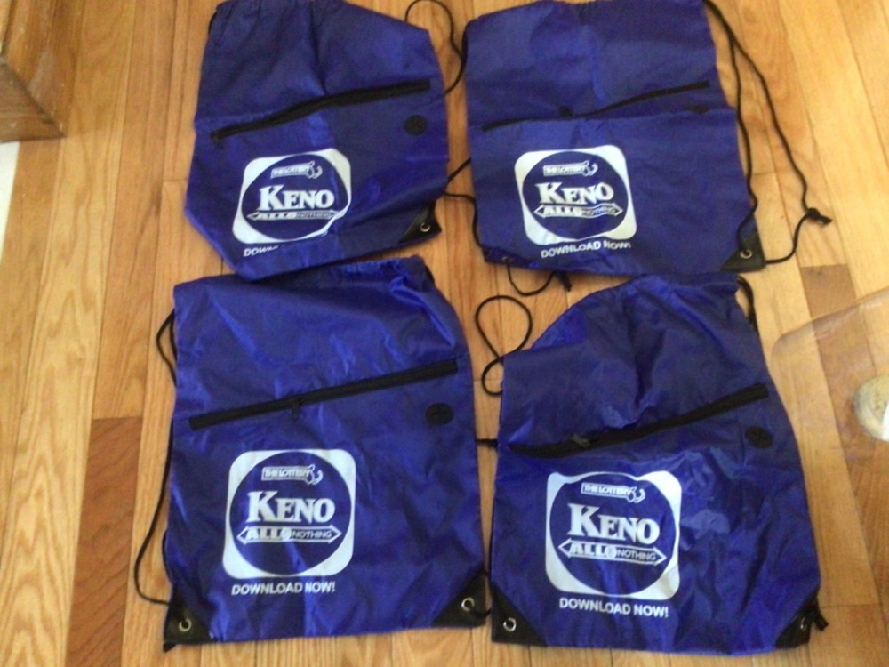 Lot 4 Light Weight Back Pack with Side Zippered Compartment