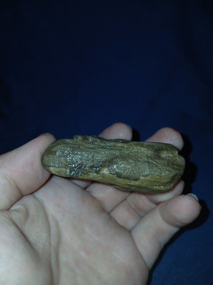 3.5 oz Agatized Petrified Wood