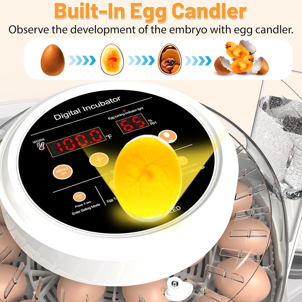 12 Egg Incubator for Hatching Eggs with Automatic Egg Turning, Temperature & Hum