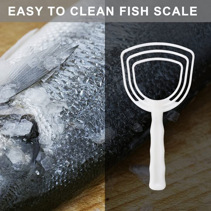 BOLEX Professional Bone Dust Scraper, Square Meat Scraper,White Poly White