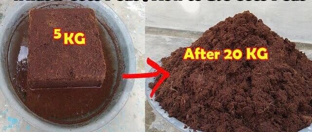 Coco Peat Block - 5kg