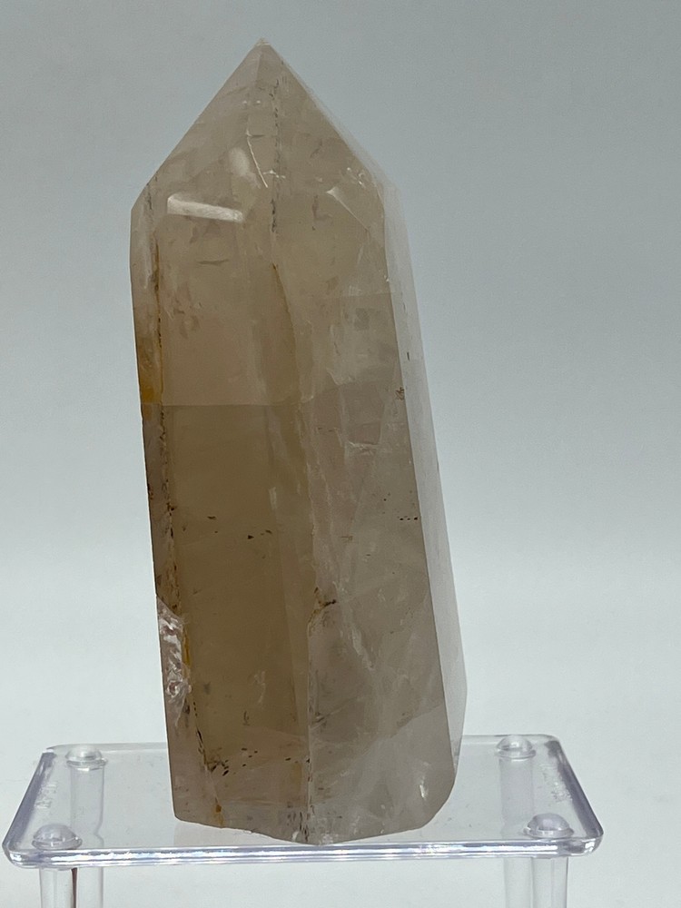 Dendritic Quartz I