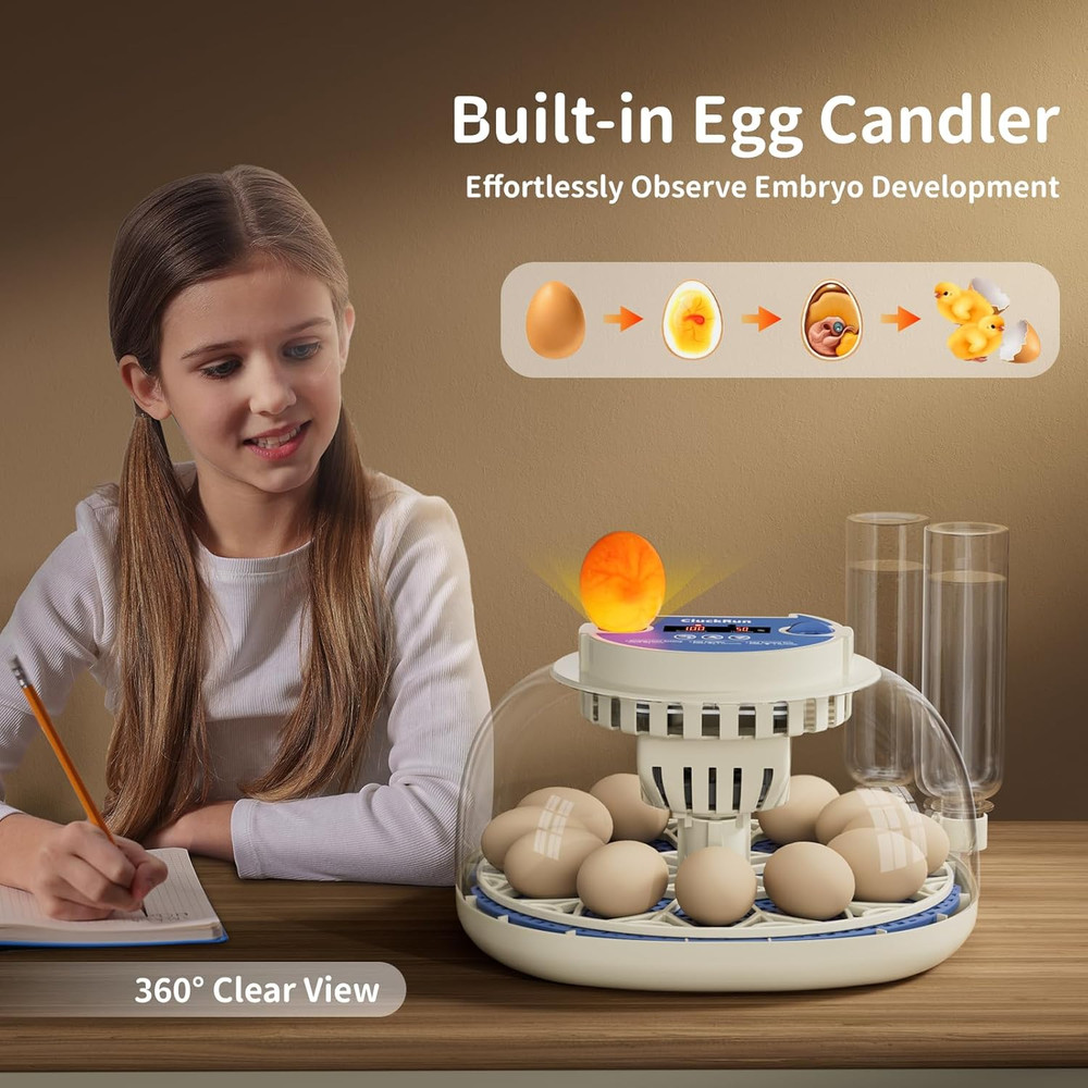 12 Egg Incubators for Hatching Eggs, Temperature and Humidity Control, Automatic