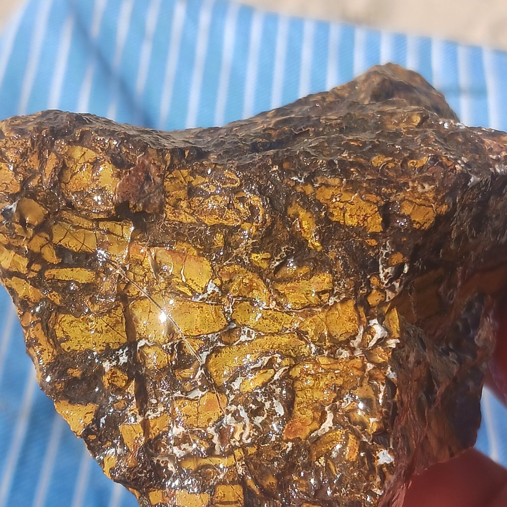 Jasper Rough Specimen Display Lapidary Potential