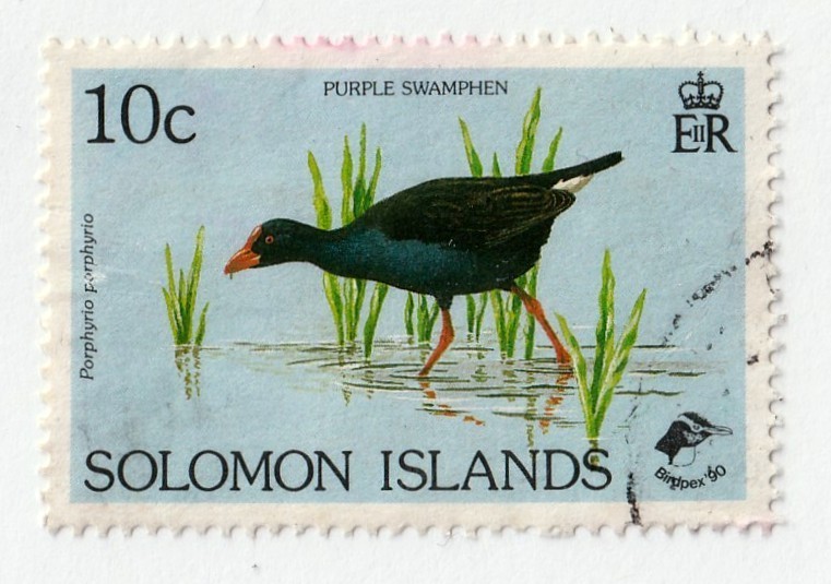 Solomon Islands         678       used       Birds