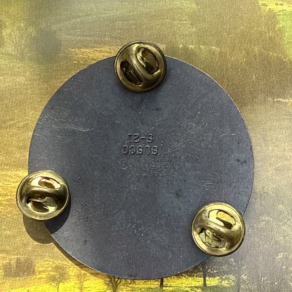 USAF Air Education And Training Command Master Instructor Insignia Badge Metal