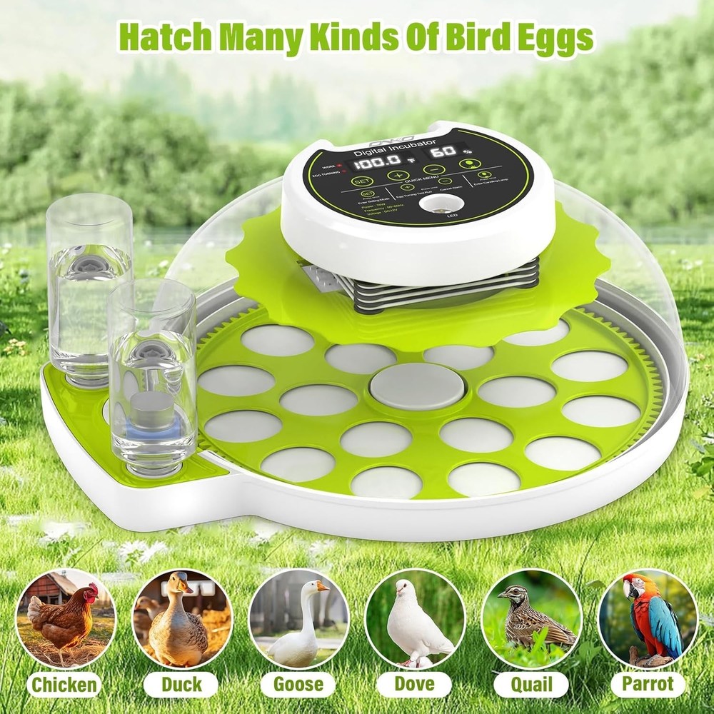 18 Eggs Incubator with Automatic Egg Turning and Humidity Control, Incubators