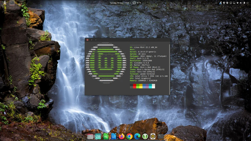 Linux Mint 22.2 "Zara" Cinnamon 500GB HDD 2.5" Latest Version Installed (UEFI)