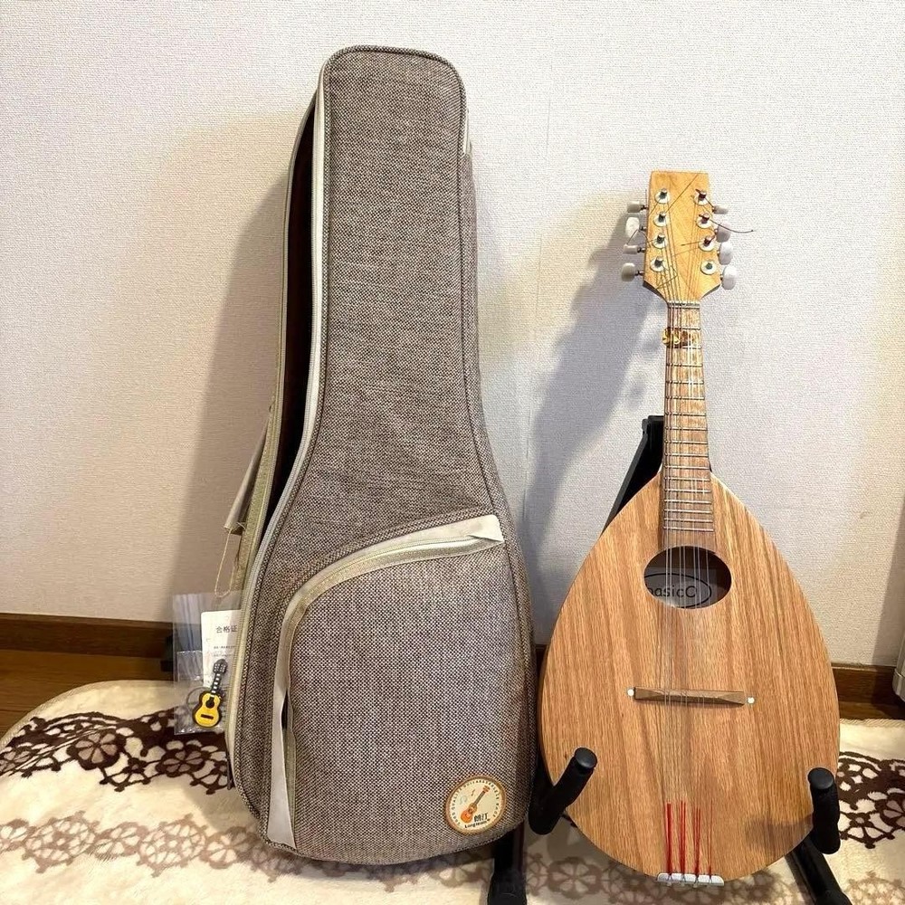 Basiko (flat mandolin) case