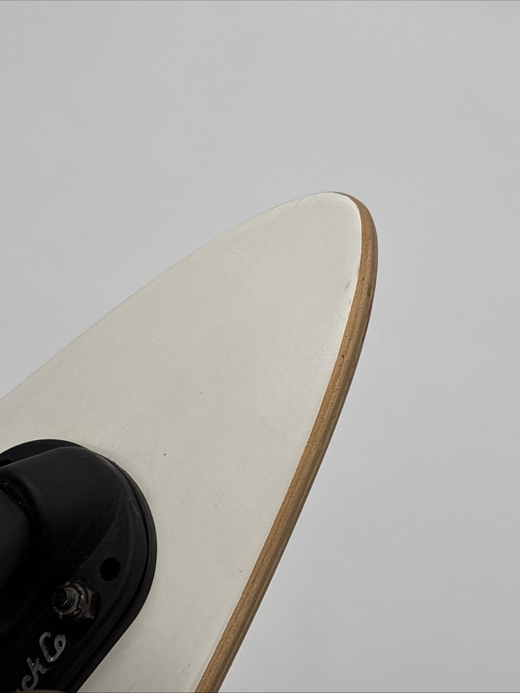 Arbor Fish Bamboo 37 inch Complete Longboard