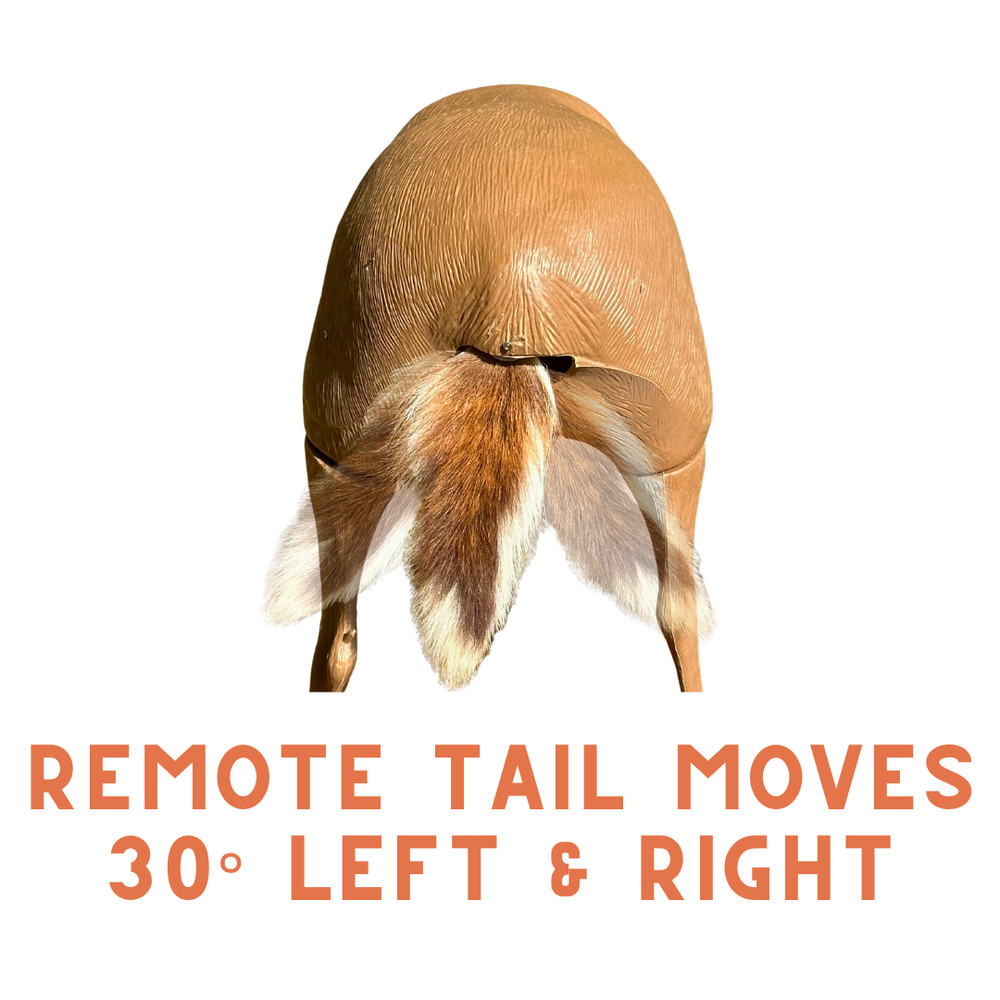 The Deer Reeler™ Motion Decoy
