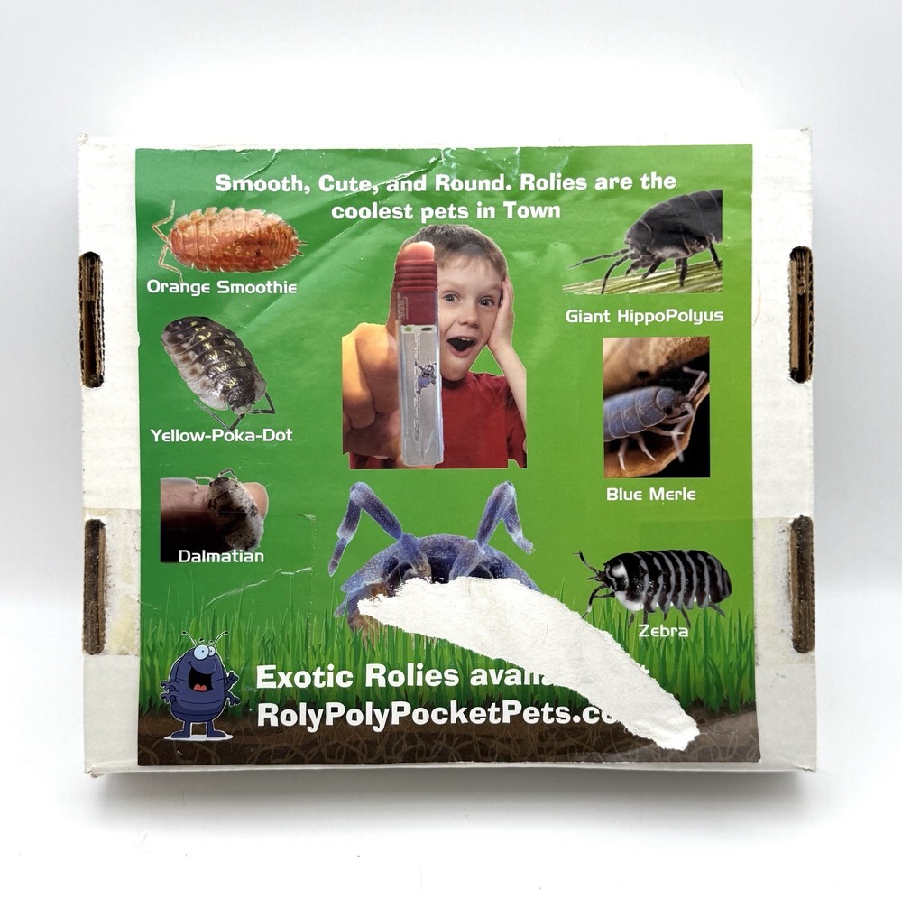 Roll Poly Farm Plant And Bug Farm