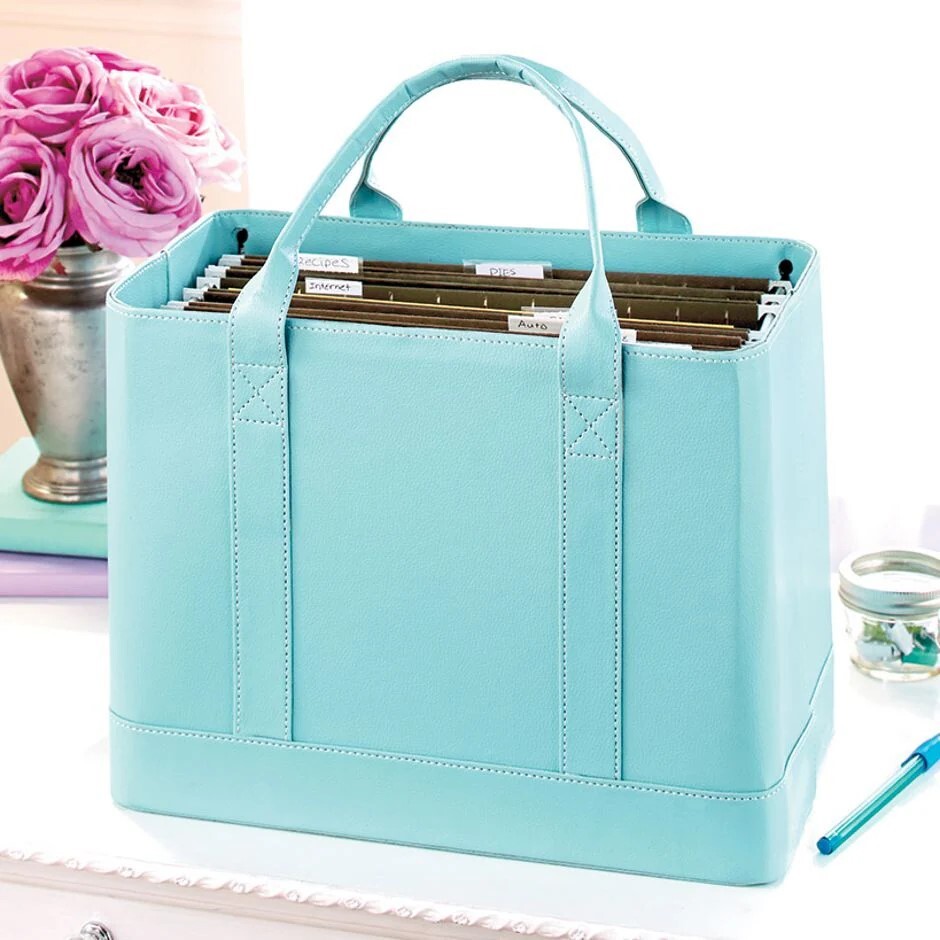 File Folder Organizer Tote Double Handle Portable Document Storage Bag ~ CHOICES