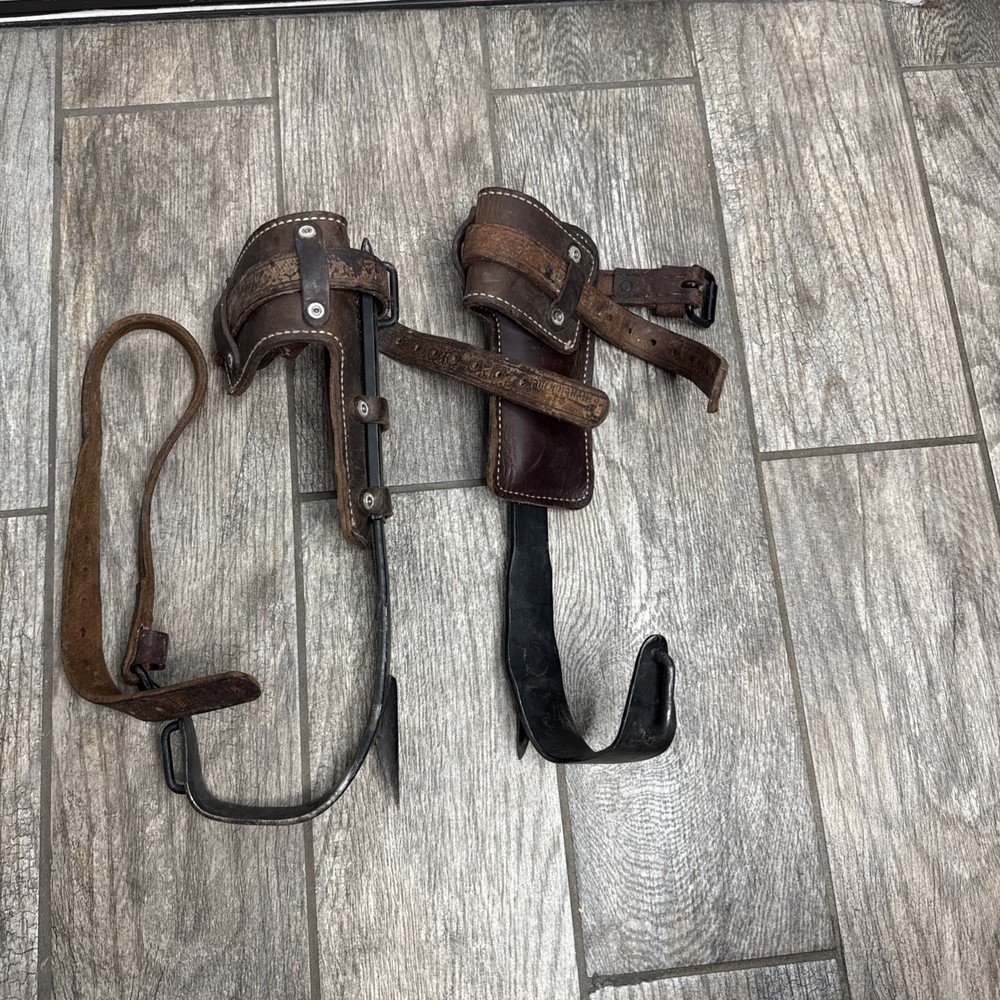 Buckingham Tree Climbing Spikes