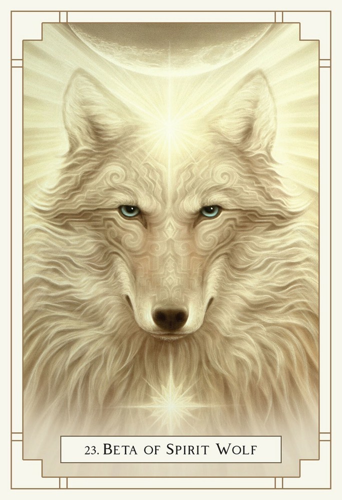 White Light Oracle Cards Blue Angel New Sealed