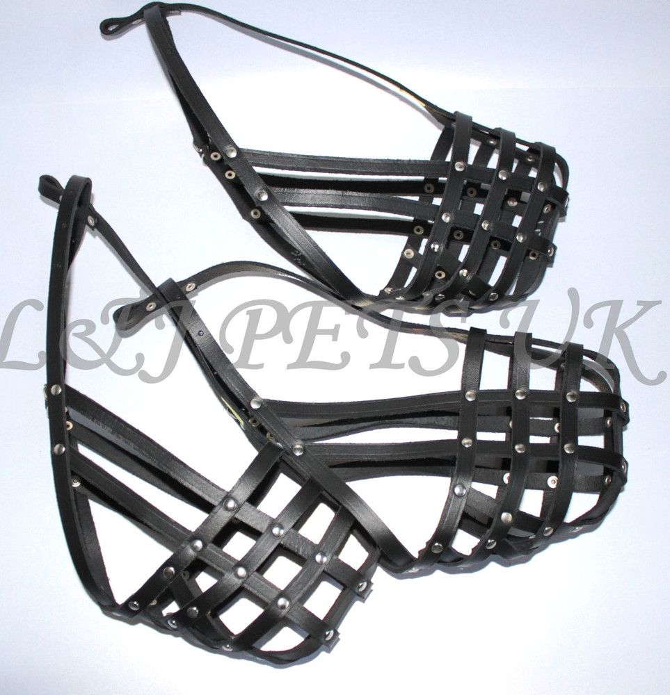 Light Real leather Dog Muzzle Czechoslovakian Wolfdog and Other