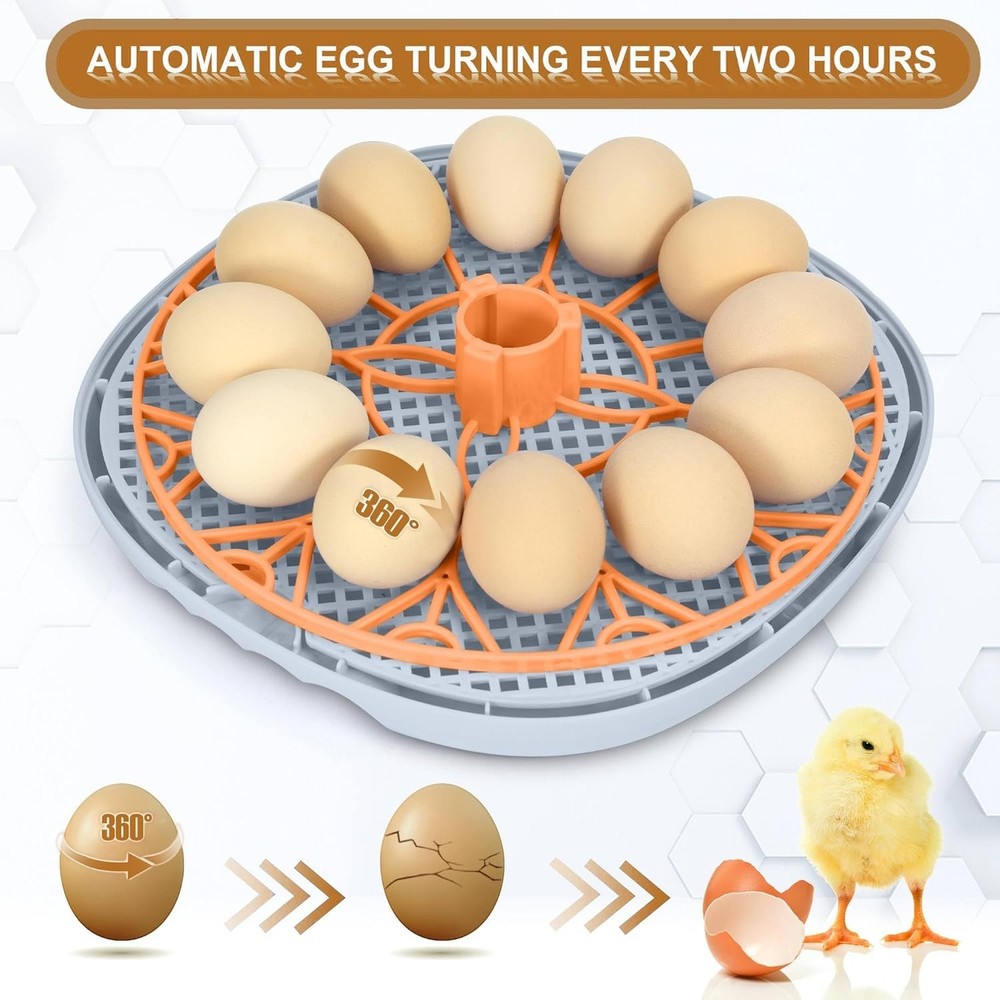 Compact 12-Egg Smart Incubator with Automatic Turner & Temperature Control