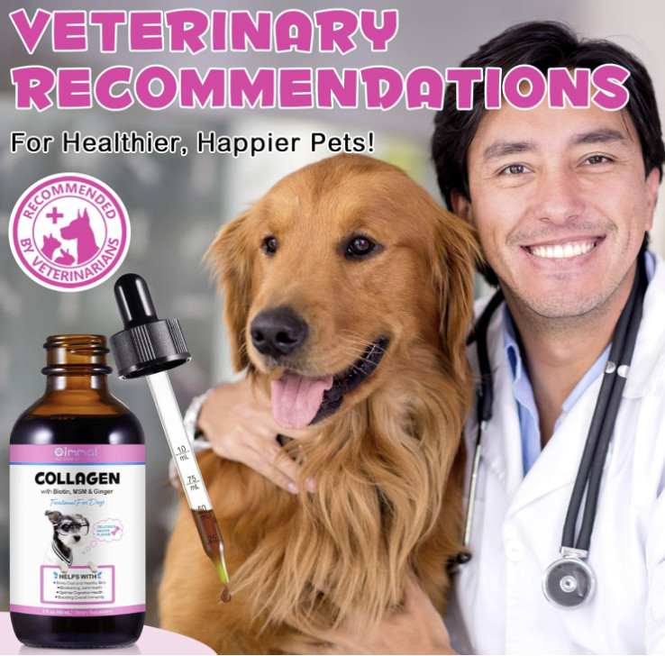 2 pack Liquid Collagen for Dogs - Hip and Joint Support with MSM, Ginger Boost I