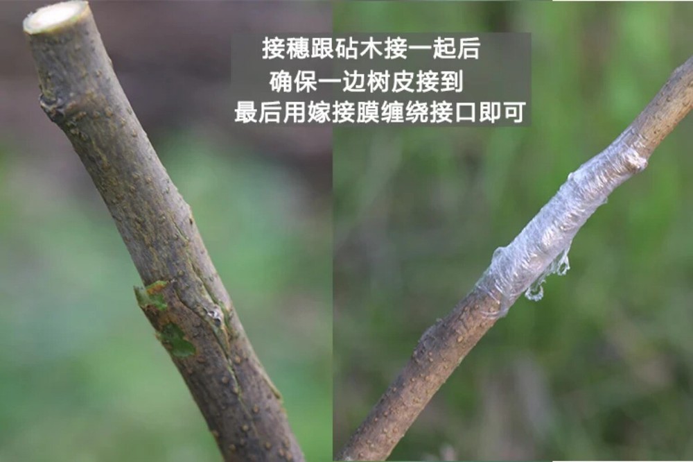 Grafting Machine J60 Multifunctional Grafting Tool for Fruit Tree Seedlings