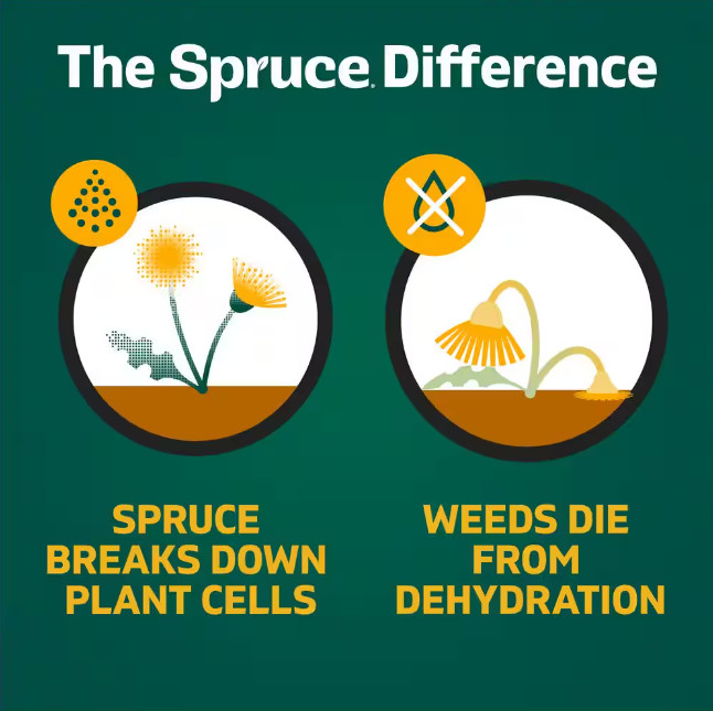 10 oz. EZ Aim Spray Weed and Grass Killer