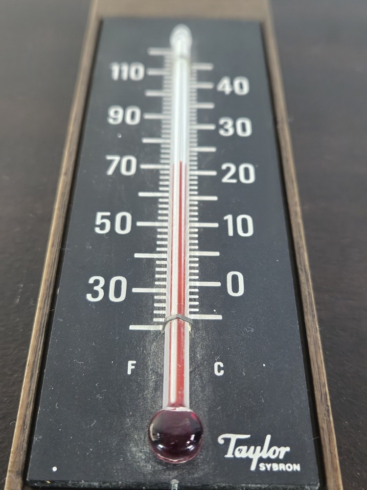 Vintage 60’s Taylor Hanging Thermometer