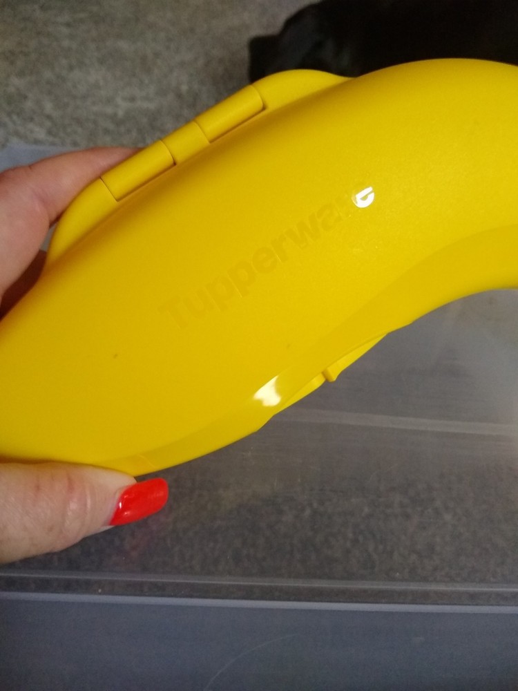 Tupperware Banana Keeper Lunch Container