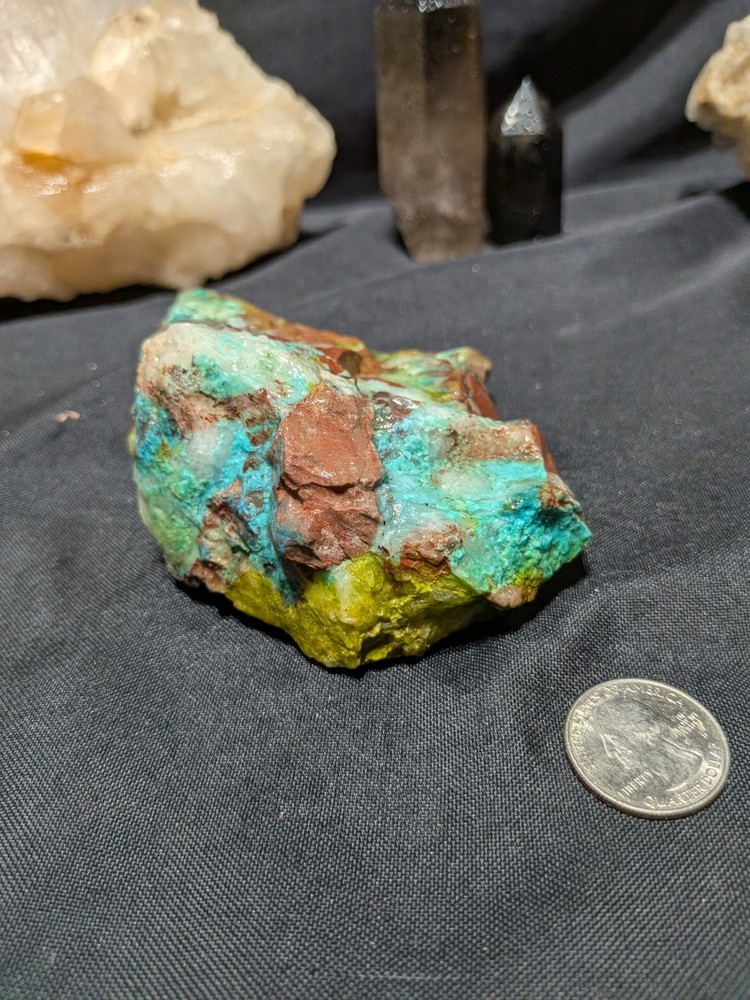 Chrysocolla Wood Specimen Natural Form (1lb)