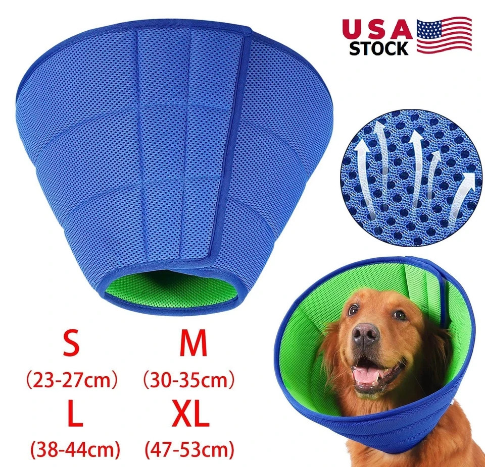 Pet Protective Collar for Dogs & Cats – Recovery Cone (Medium Size)