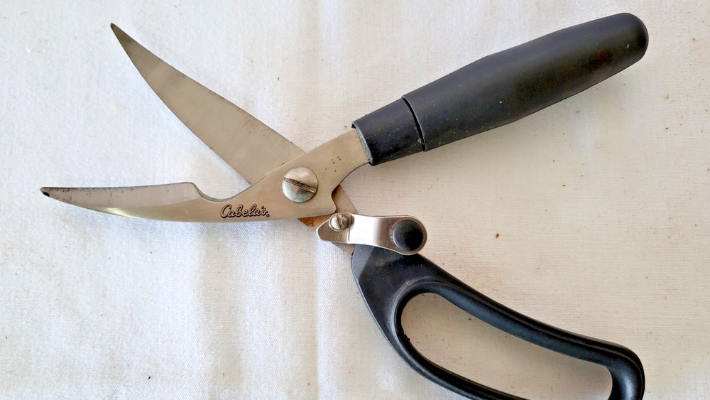 Cabela's Persuit Game Shears with Holster. NEVER USED.
