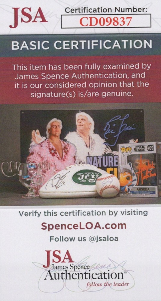 David Wise & Kevin Bayliss Signed 8x10 Battletoads Photo Autograph JSA COA