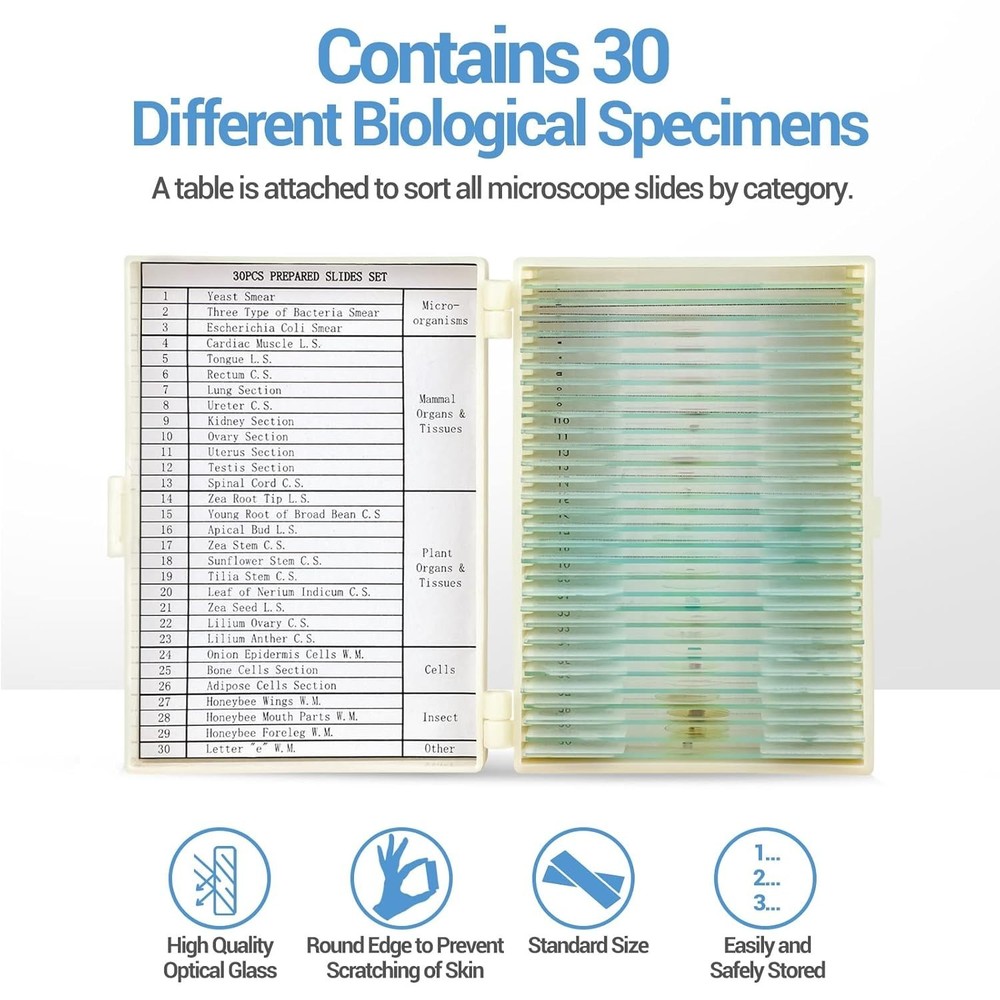 30 Microscope Slides with Specimens for Kids, Prepared Microscope Slides for ...