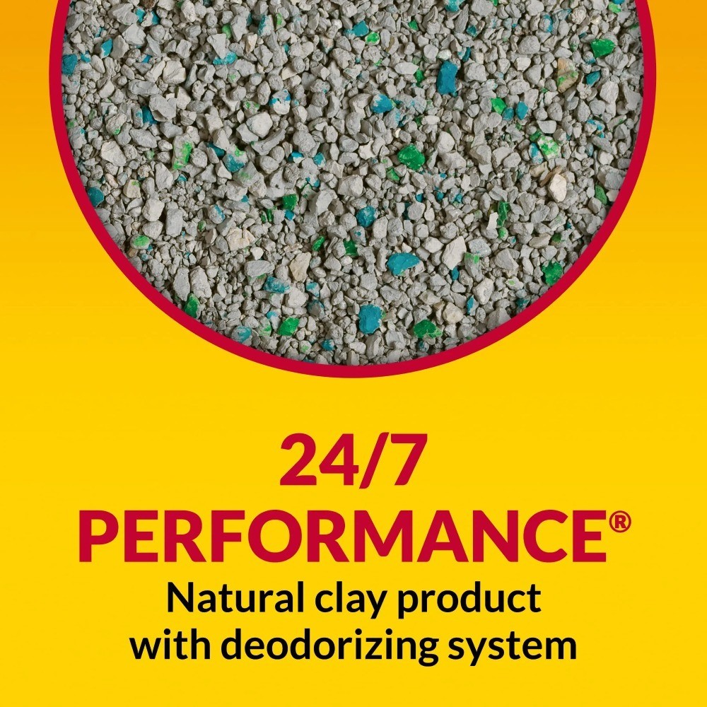 Non-Clumping Cat Litter with Advanced Odor Control, 30 Pound Box, Unscented