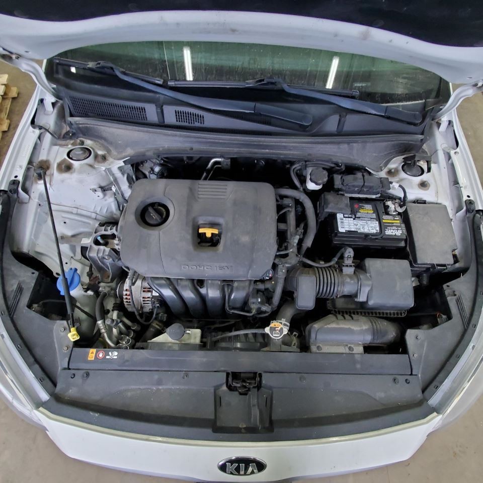 Camera/Projector Hatchback Camera Front Fits 19-24 FORTE 1164554