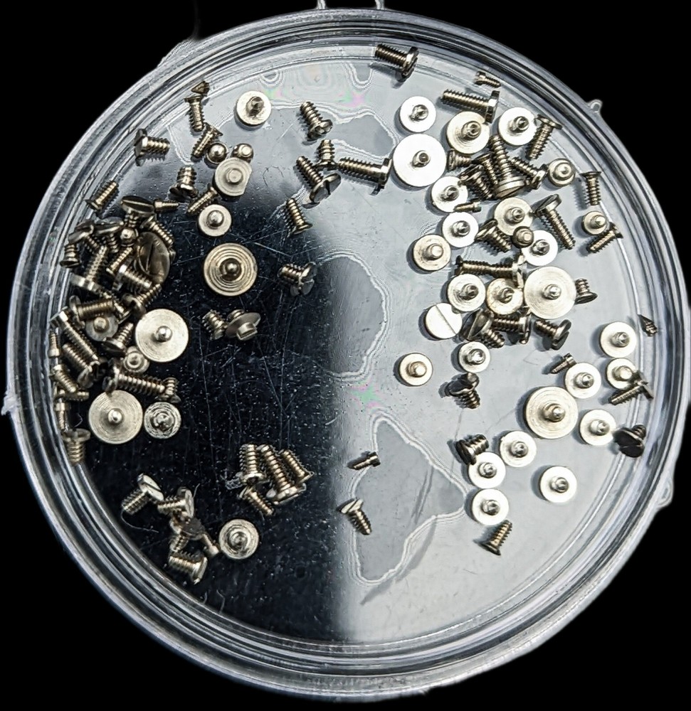 100pcs Watch Movement Screws -- Mixed, Various Types & Sizes